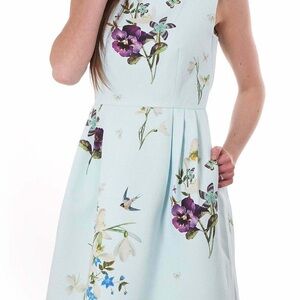 Ted Baker Loolina Spring Meadow Woven Skater Dress